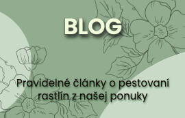 Blog Rastlinky.sk